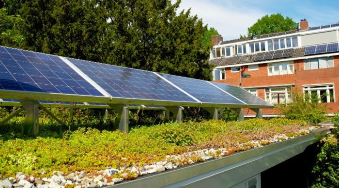 Sustainable Roofing Solutions for the Modern Home - Thomas Roofing ...