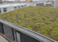 A Closer Look at Sustainable Roofing Practices - Roof Doctors