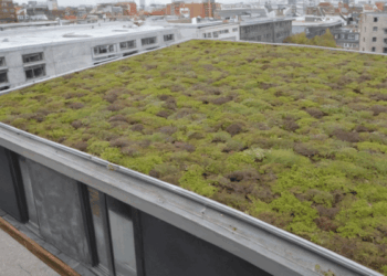 A Closer Look at Sustainable Roofing Practices - Roof Doctors