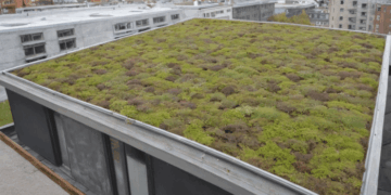 A Closer Look at Sustainable Roofing Practices - Roof Doctors
