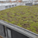 A Closer Look at Sustainable Roofing Practices - Roof Doctors